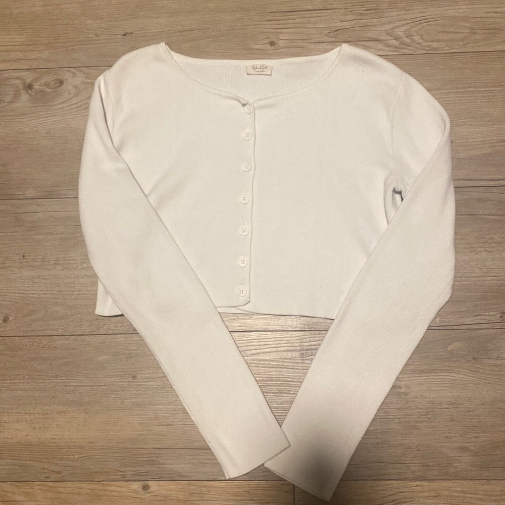 Brandy Melville Cropped Sweater